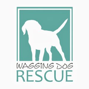 WD+Rescue+Logo
